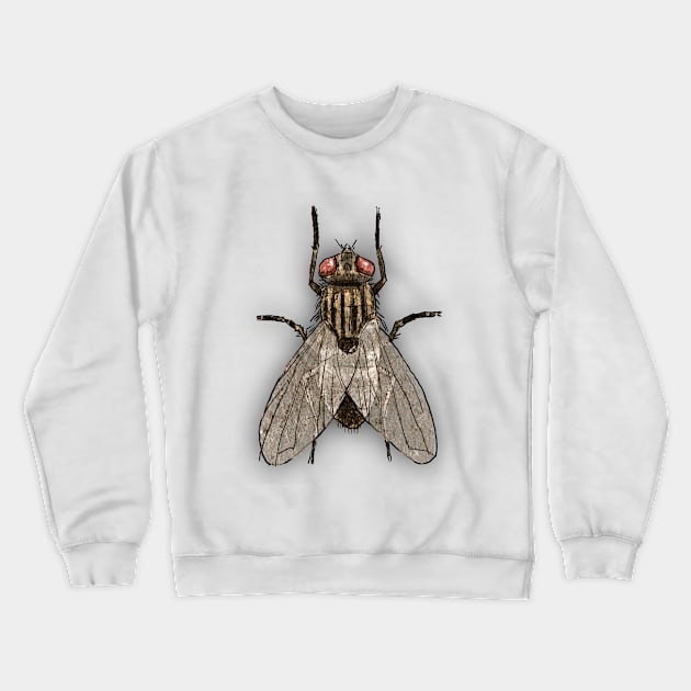 Bugs-16 Housefly Crewneck Sweatshirt by Komigato